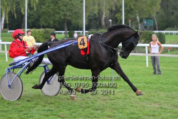 IMG 0795 600x400 prot