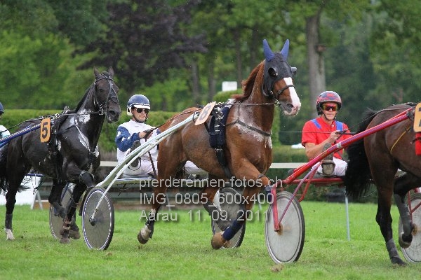 IMG 0805 600x400 prot