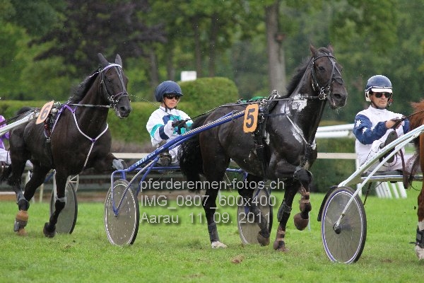 IMG 0807 600x400 prot
