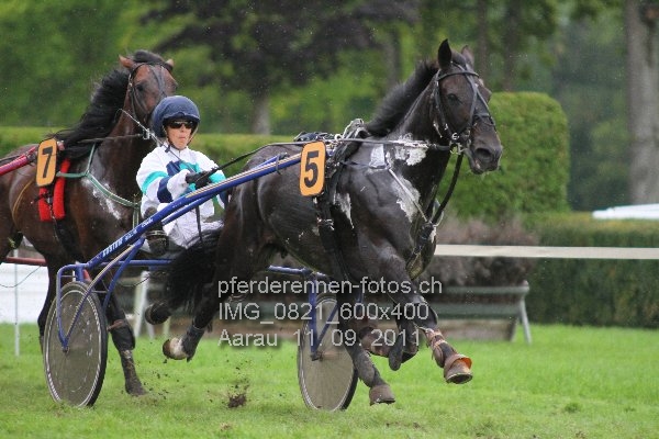 IMG 0821 600x400 prot
