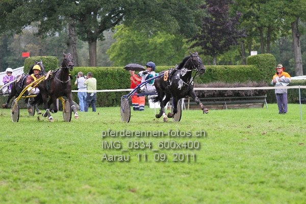 IMG 0834 600x400 prot