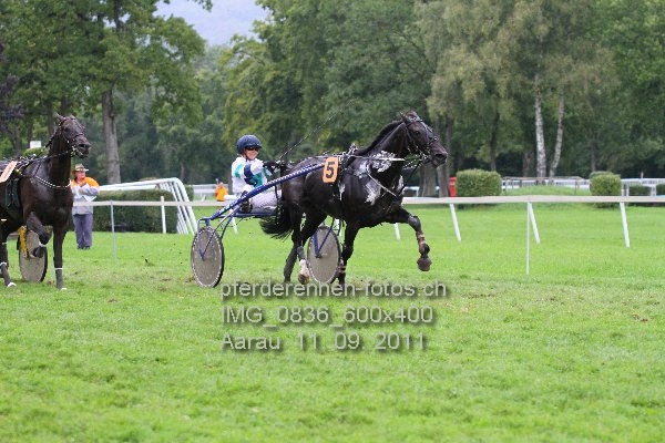 IMG 0836 600x400 prot
