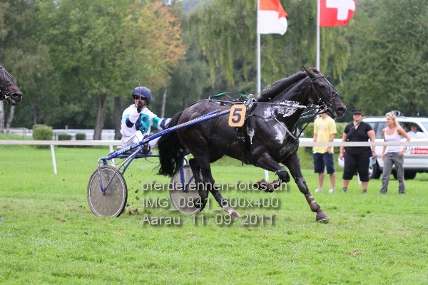 IMG 0841 600x400 prot