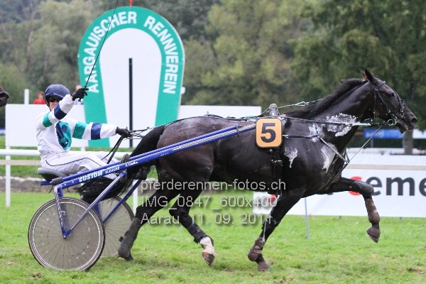 IMG 0847 600x400 prot
