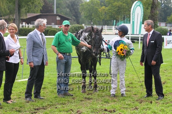 IMG 0854 600x400 prot
