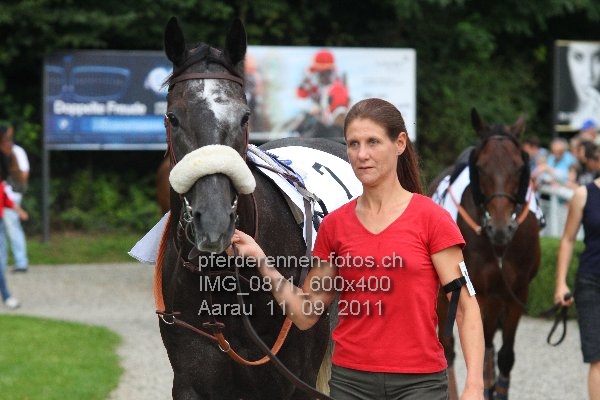 IMG 0871 600x400 prot