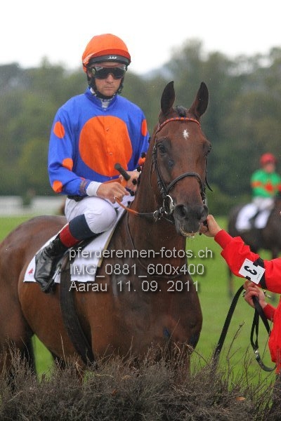 IMG 0881 600x400 prot