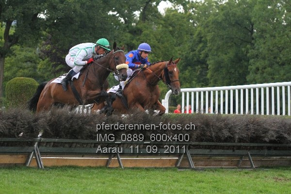 IMG 0889 600x400 prot
