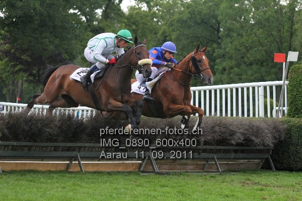 IMG 0890 600x400 prot