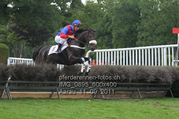 IMG 0895 600x400 prot