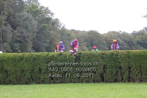 IMG 0905 600x400 prot