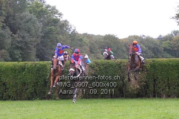 IMG 0907 600x400 prot