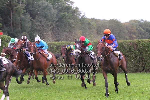 IMG 0916 600x400 prot