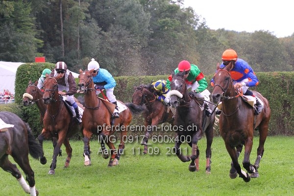 IMG 0917 600x400 prot