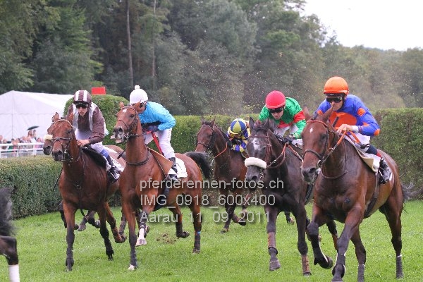 IMG 0918 600x400 prot