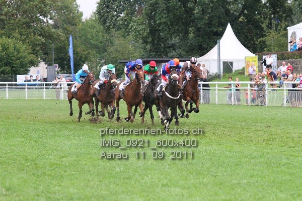 IMG 0921 600x400 prot
