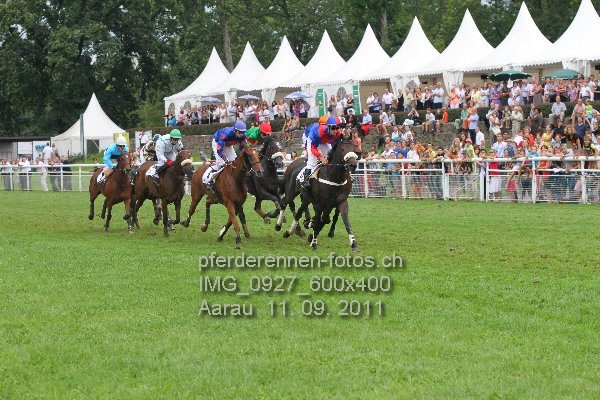 IMG 0927 600x400 prot