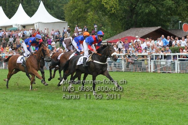 IMG 0930 600x400 prot