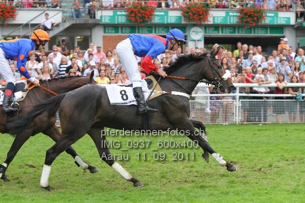 IMG 0937 600x400 prot