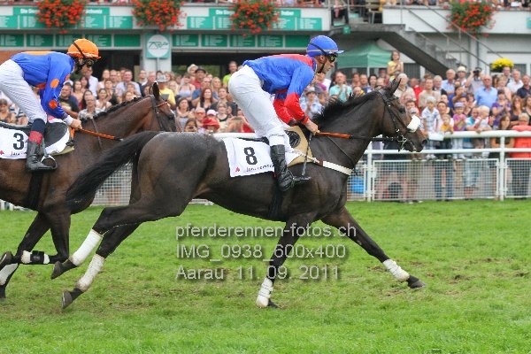 IMG 0938 600x400 prot