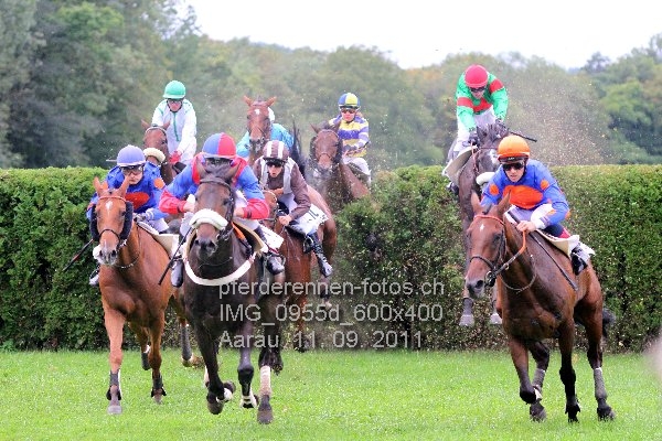 IMG 0955d 600x400 prot