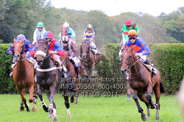 IMG 0956d 600x400 prot