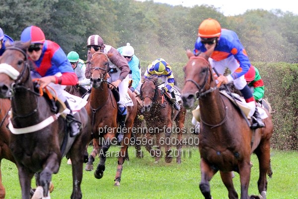 IMG 0959d 600x400 prot