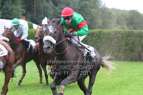 IMG 0962 600x400 prot