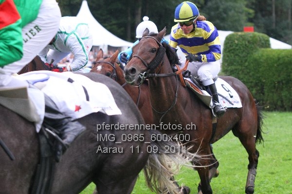 IMG 0965 600x400 prot