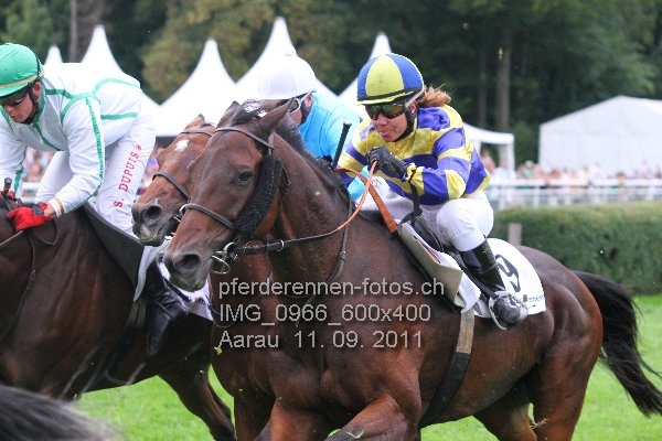 IMG 0966 600x400 prot