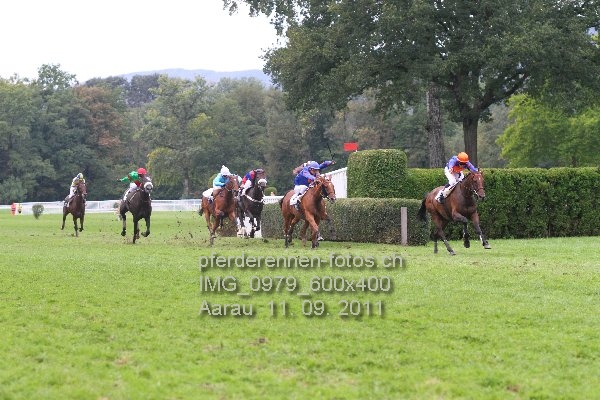 IMG 0979 600x400 prot