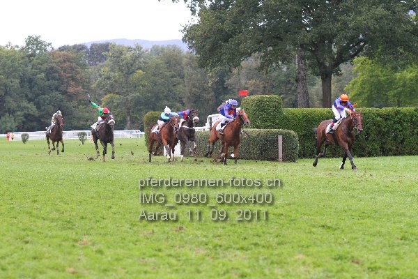 IMG 0980 600x400 prot
