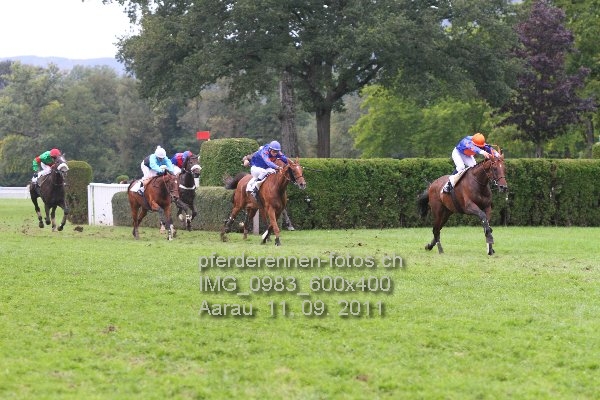 IMG 0983 600x400 prot