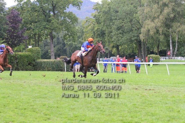 IMG 0985 600x400 prot