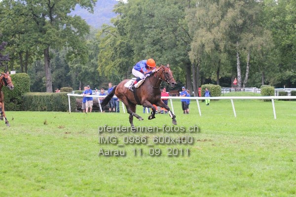 IMG 0986 600x400 prot