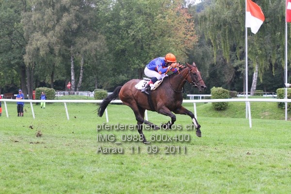IMG 0988 600x400 prot