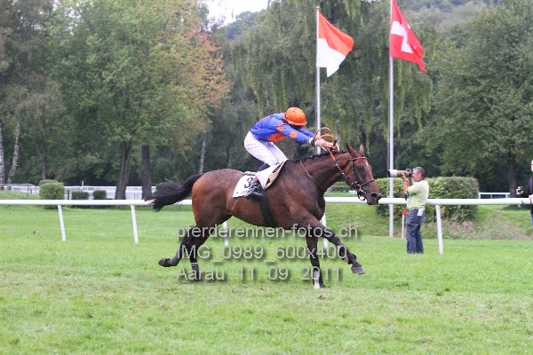 IMG 0989 600x400 prot