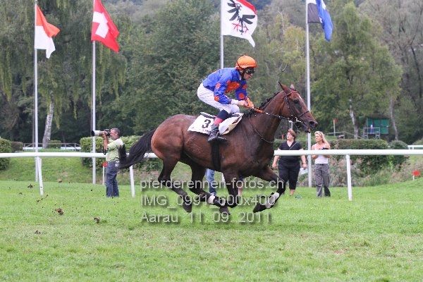 IMG 0991 600x400 prot