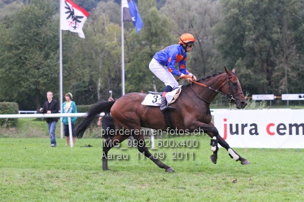IMG 0992 600x400 prot