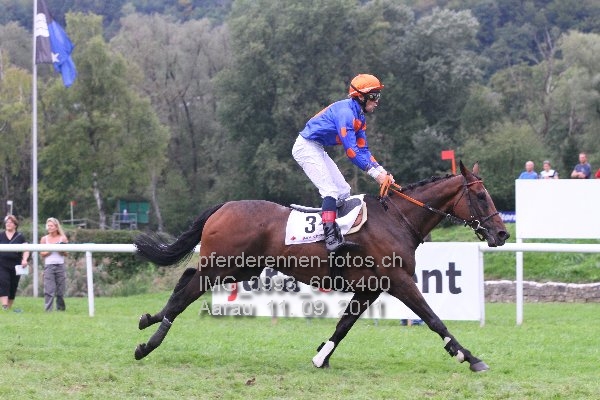 IMG 0993 600x400 prot
