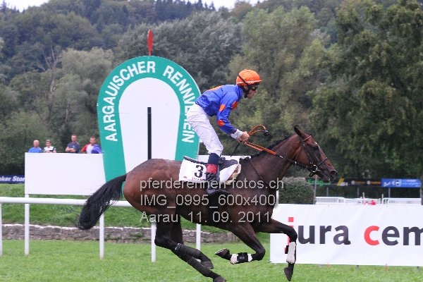 IMG 0995 600x400 prot