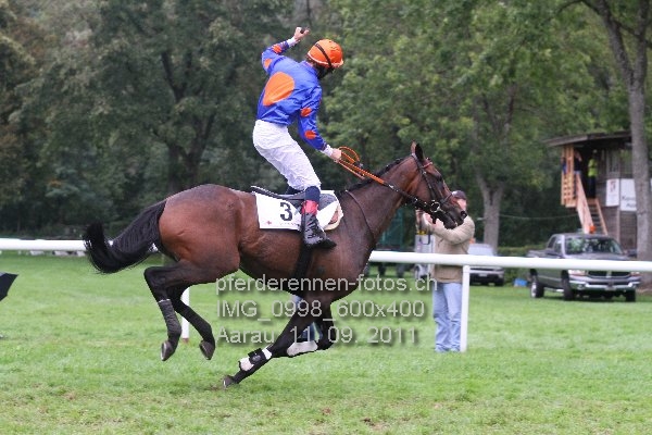 IMG 0998 600x400 prot