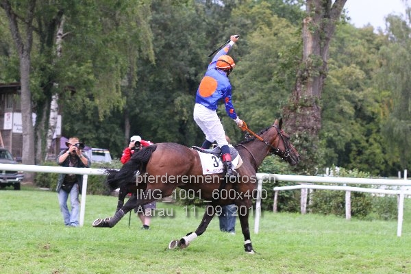IMG 1001 600x400 prot