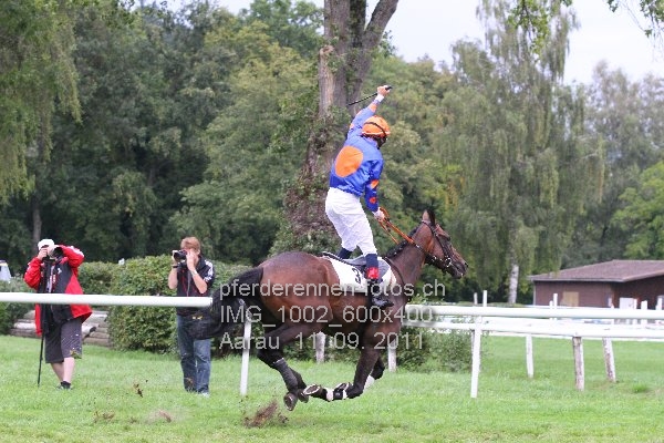 IMG 1002 600x400 prot