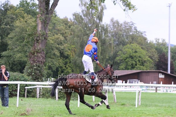 IMG 1003 600x400 prot