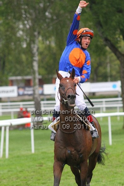 IMG 1011 600x400 prot