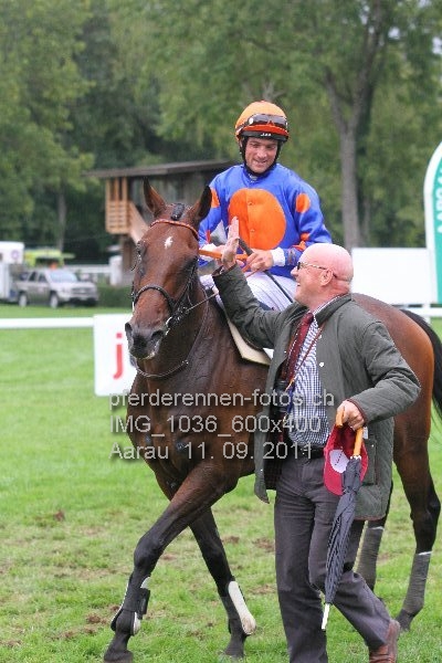 IMG 1036 600x400 prot