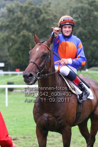 IMG 1042 600x400 prot