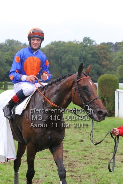 IMG 1110 600x400 prot