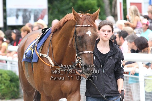 IMG 1134 600x400 prot